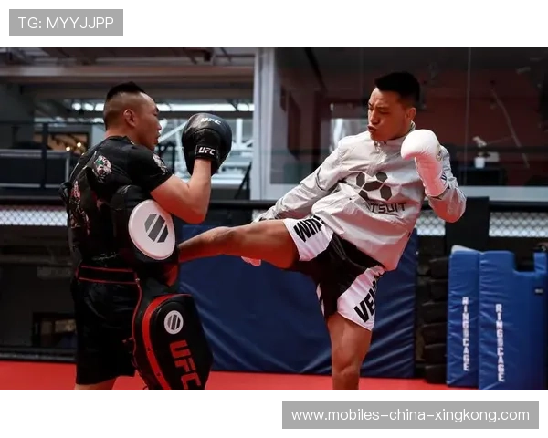 UFC选手破防后一套组合结束对手：从破防到终结的瞬间艺术